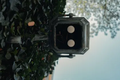 SpinTropolis Kasino Apl Mudah Alih